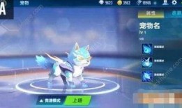 飞车手游宠物最新爆料,神秘属性觉醒，助力玩家驰骋赛道！